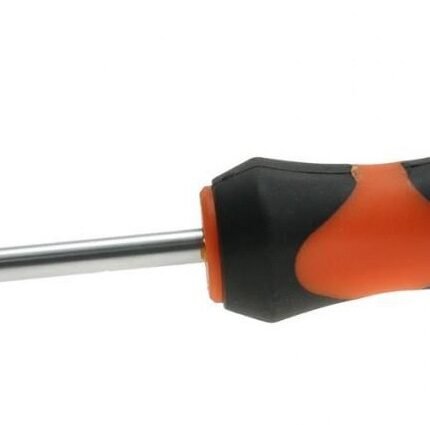 Atsuktuvas T40 TORX