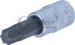Įpresuotas 1/4 antgalis T40 TORX
