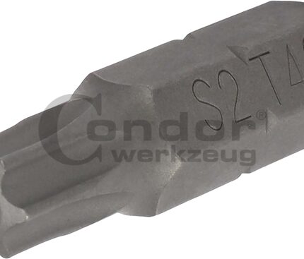 Antgalis TORX T40 / 8mm / 30mm ilgio