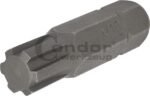 Antgalis RIBE M10*40mm