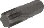 Antgalis RIBE M12*40mm