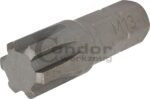Antgalis RIBE M13*40mm