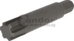 Antgalis RIBE M14*75mm