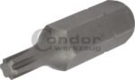 Antgalis RIBE M5*40mm