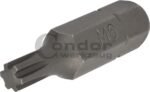 Antgalis RIBE M6*40mm