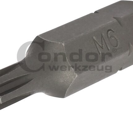 Antgalis RIBE M6*40mm