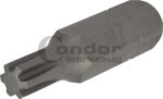 Antgalis RIBE M7*40mm