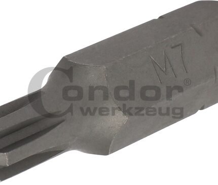 Antgalis RIBE M7*40mm