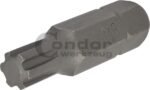 Antgalis RIBE M8*40mm