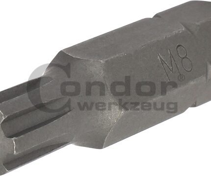 Antgalis RIBE M8*40mm