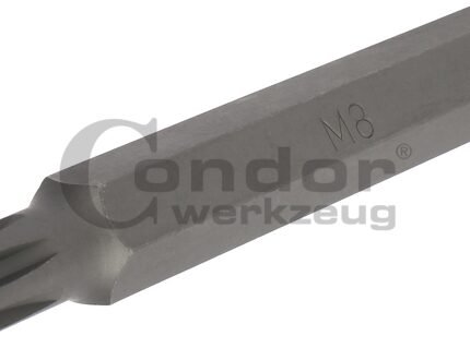 Antgalis RIBE M8*75mm