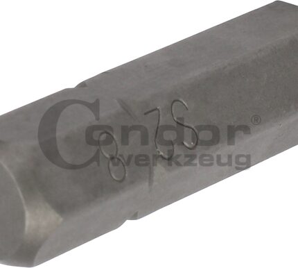 Antgalis šešiakampis HEX8 / 8mm / 30mm ilgio