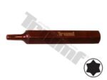 Antgalis TORX T27*75mm PROFI