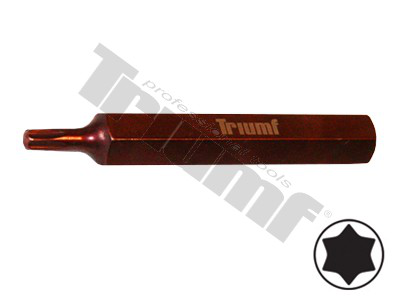 Antgalis TORX T40*75mm PROFI