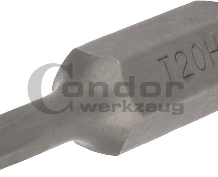 Antgalis TORX su skyle T20 / 8mm / 30mm ilgio