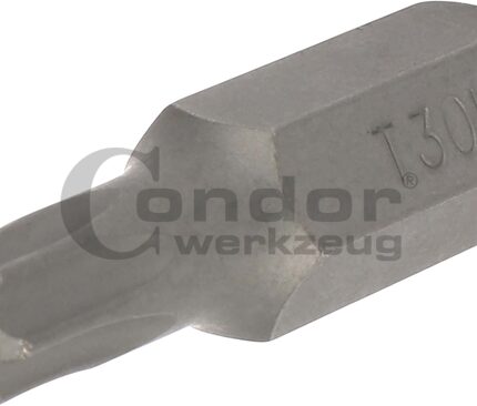 Antgalis TORX su skyle T30 / 8mm / 30mm ilgio
