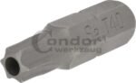 Antgalis TORX su skyle T40 / 8mm / 30mm ilgio