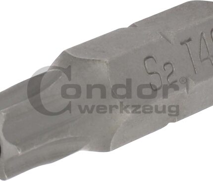 Antgalis TORX su skyle T40 / 8mm / 30mm ilgio