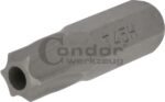 Antgalis TORX su skyle T45 / 8mm / 30mm ilgio