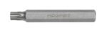 Antgalis TORX T25*75mm