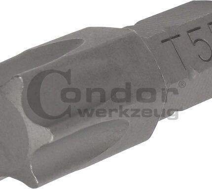 Antgalis TORX T55 / 8mm / 30mm ilgio