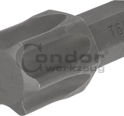 Antgalis TORX T60 / 8mm / 30mm ilgio
