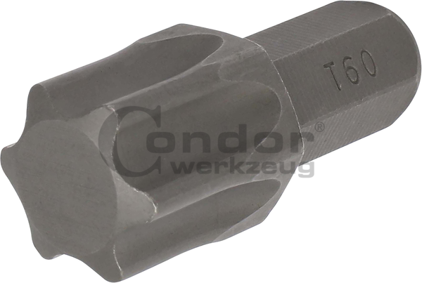 Antgalis TORX T60 / 8mm / 30mm ilgio Antgalis TORX T60 / 8mm / 30mm ilgio