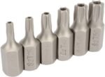 Antgalių komplektas TORX su skyle (T20-T50)