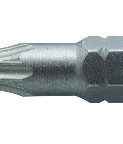 Antgaliai TORX T10 / 25mm*2vnt / S2 plieno