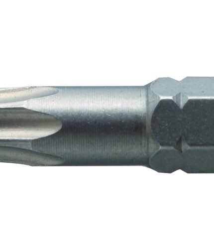 Antgaliai TORX T30 / 25mm*2vnt / S2 plieno