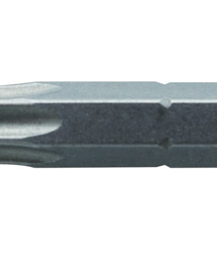 Antgaliai TORX T40 / 25mm*2vnt / S2 plieno