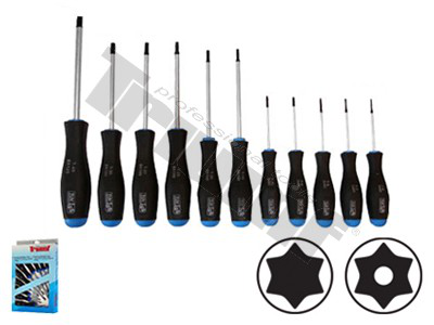 Atsuktuvų komplektas TORX su skyle 11dalių