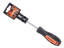 Atsuktuvas plokščias SL6*100mm