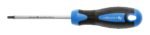 Atsuktuvas T27*100mm TORX