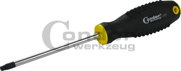 Atsuktuvas T40 TORX Atsuktuvas T40 TORX