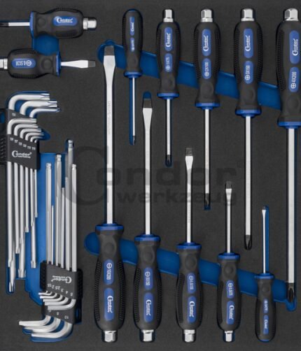 Atsuktuvų ir L-formos raktų komplektas su dėklu vežimėliui