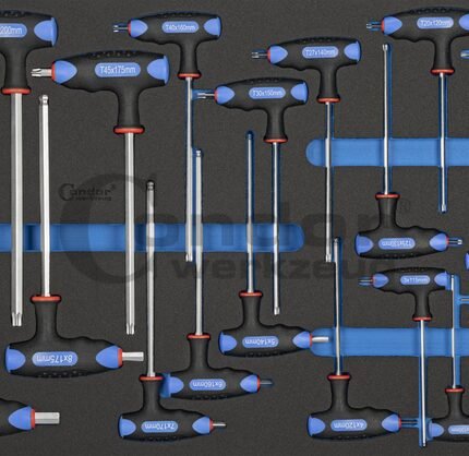 T-formos HEX+TORX raktų komplektas / su dėklu vežimėliui