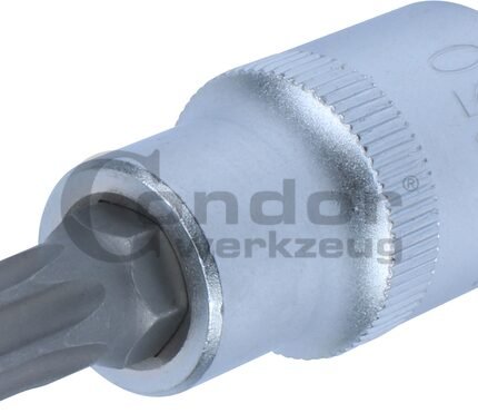 Galvutė 1/2 T50*53mm TORX