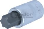Galvutė 1/2 T70*53mm TORX