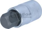 Antgalis 1/2 H16*55mm / HEX-16