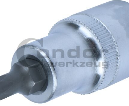 Galvutė 1/2 T30*55mm su skylute TORX