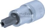 Galvutė 1/2 T50*55mm su skylute TORX