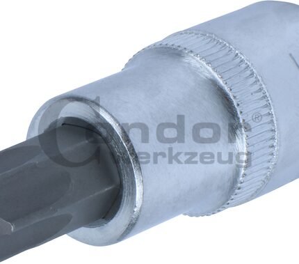 Galvutė 1/2 T55*55mm su skylute TORX