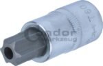 Galvutė 1/2 T60*55mm su skylute TORX
