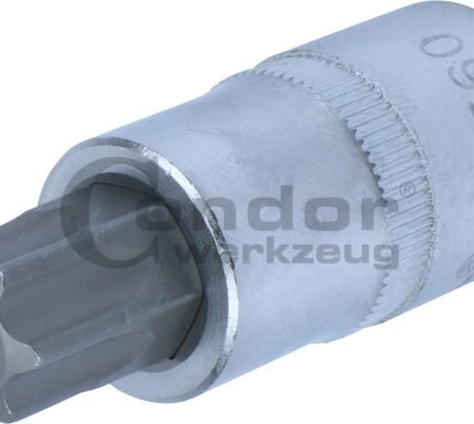 Galvutė 1/2 T60*55mm su skylute TORX