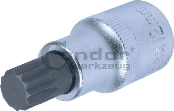 Galvutė 1/2 M12*55mm SPLINE Galvutė 1/2 M12*55mm SPLINE