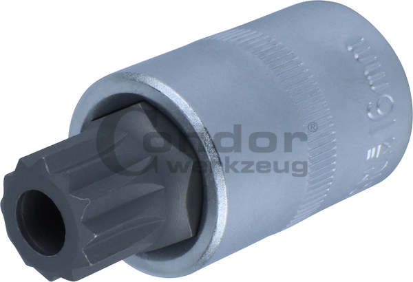 Galvutė alyvai VAG 1/2 CV M16 55 mm Galvutė alyvai VAG 1/2 CV M16 55 mm