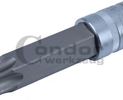 Galvutė 1/2 T100*100mm su skyle TORX