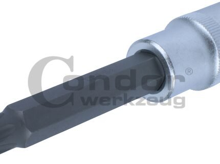 Galvutė 1/2 T50*100mm su skyle TORX