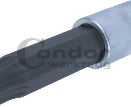 Galvutė 1/2 T80*100mm su skyle TORX